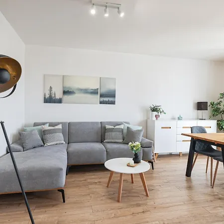 Brand New Apt In City Center+ Free Street Parking Apartment *